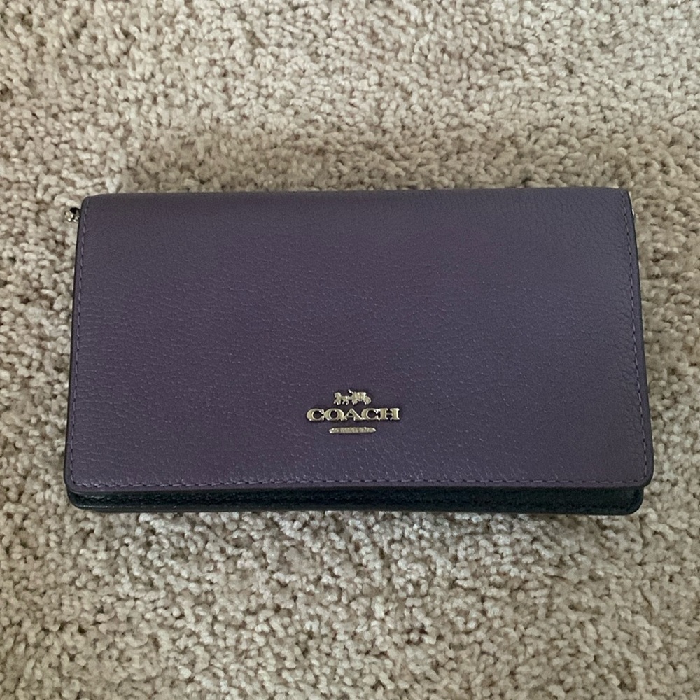 Mini bag coach